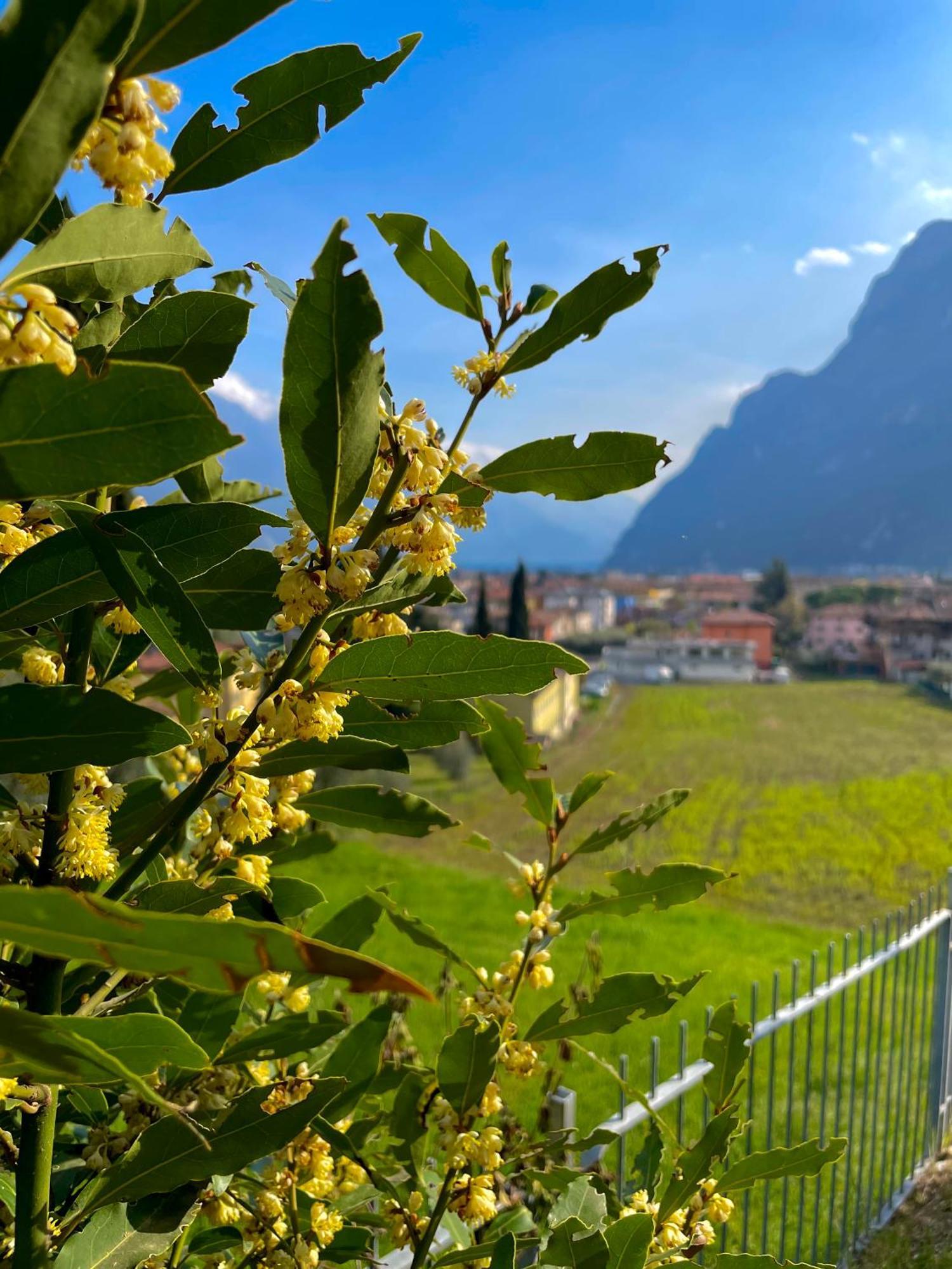 View & Chill Apartment Riva del Garda Extérieur photo